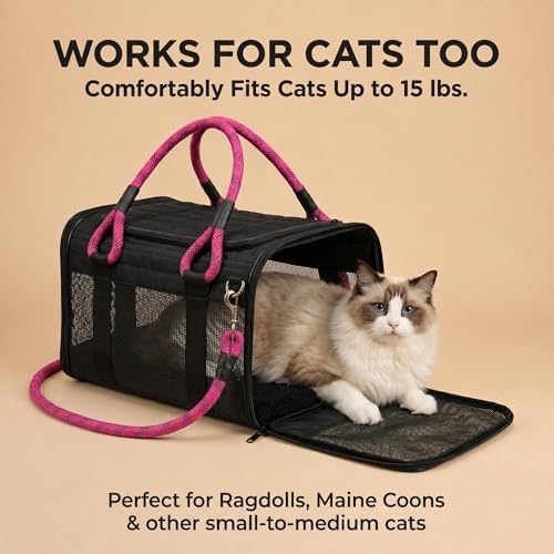 Soft-Sided Pet Carrier, Black Pink, 19.7 x 11.8 x 11.4 in