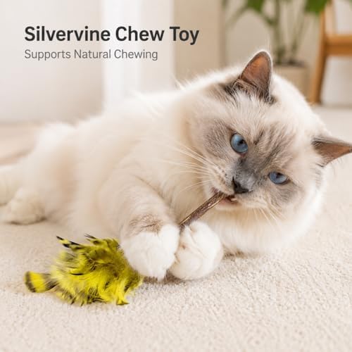 Silvervine Feather Cat Toys, 3 Pack Natural Matatabi Chew Toys for Indoor Cats, 8" Handmade Cat Toy for Chewing & Independent Play, Quiet Indoor Floor Play