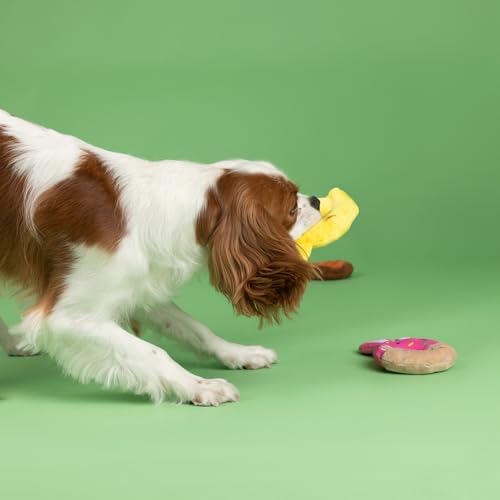 Fringe Studio Plush Dog Toy, 3 Pieces Set, Holey Donuts, Petshop Collection (662098)