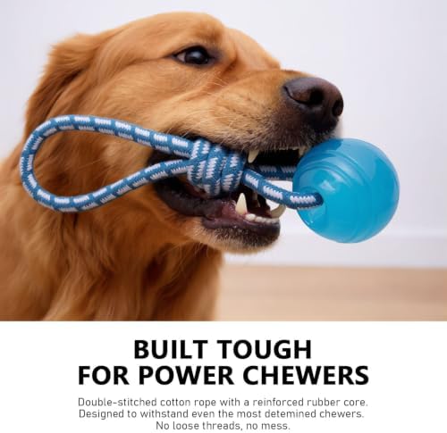 MECOOL 2PCS Dog Chew Toys Set - Tug of War Rope Ball & Flexible Rubber Puller, Interactive Teething Toys for Aggressive Chewers, Pet Training Toys for Medium Large Dogs,Bacon Flavored