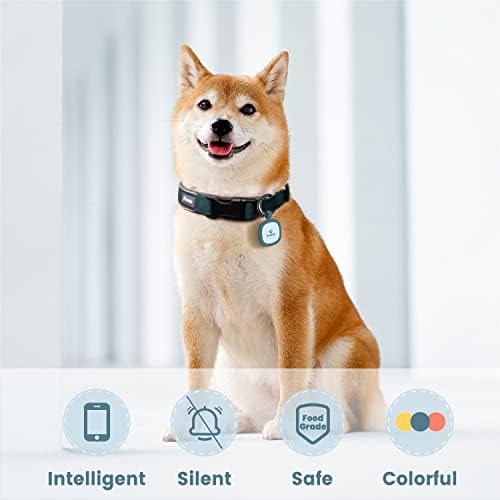 Pawaii Dog ID Tag, Silent Silicone QR Code Tag, Scan Alerts, No App, 1 Pack