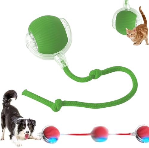 2025 New Interactive Dog Cat Toys Balls,Interactive Rolling Ball Cat Toy, 360° Smart Automatic Rolling Pet Ball, Fast Moving Toy for Dog and Cat(Green)