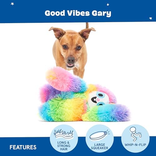 BarkBox Good Vibes Gary Dog Toy