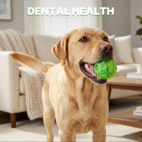 Dog Toy Balls, Dog Ball with Built-in Rope Toys, Dog Chew Toy for Boredom