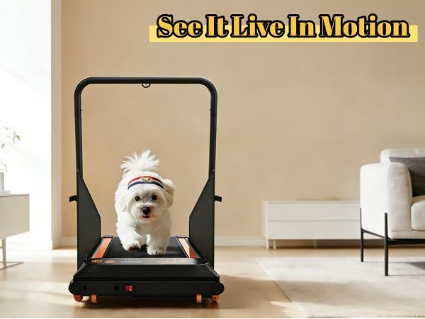Dog Treadmill for Small/Medium Pets - Quiet Smart Pacer Treadmill, Indoor Fitness Machine with LED Display, 220LBS Capacity, Foldable Design & 0.5-6.5mph Speed