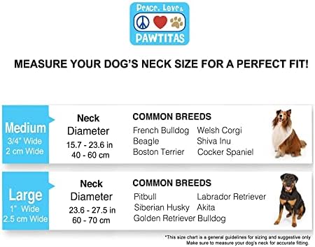 Pawtitas Martingale Dog Collar with Chain a Reflective Dog Training Collar for Medium Dogs | Nylon No Pull Dog Collar for Medium Dog - Green