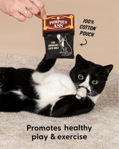 Blue Q Catnip - Cute Cat Toys for Biting w/Funny Graphics - Pompous.