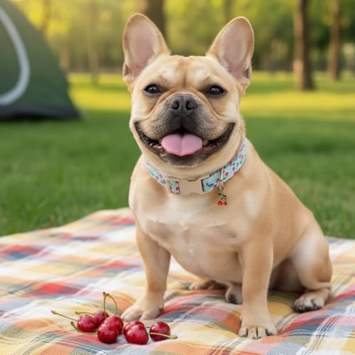 Cherry Dog Collar, Blue Dog Collar for Spring Summer with Quick Release Buckle, Fits Puppy, Small, Female, Male Dogs, Collar with Premium Package, S