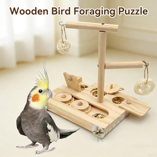 Interactive Wooden Bird Foraging Toy – Cage-Mounted Puzzle Feeder with Sliding Locks, Loofah & Vine Ball for Budgies, Cockatiels, Conures & Small Parrots