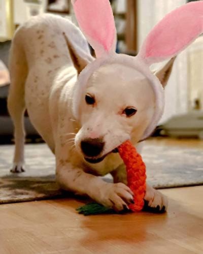 BoomBone Easter Dog Toys for Small Dogs 2 Pack, Carrot Dog Rope Toy and Bunny Crinkle Puppy Toy
