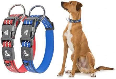 Dog Collar Bundle for Small Dogs (Width- 5/8, Length - 15-17) | Adjustable Padded Blue & Red Dog Collars with Heavy Duty O-Ring | Soft & Comfortable Fit for Large Dogs