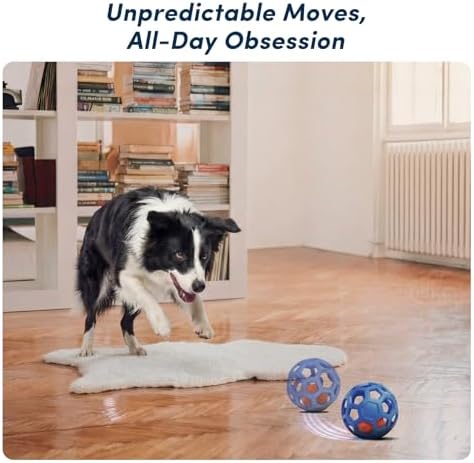 Unique Interactive Dog Toy with Ball-in-Ball Design, 4X Durable Rubber Outer Shell & Inner Smart Automatic Bouncing Ball to Keep Them Busy, Fetch & Puzzle Toys for Medium, Large High Energy Dogs