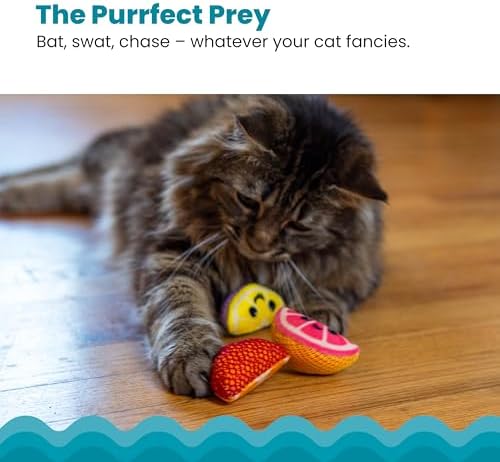 Catstages Dental Fruit Wedges Chew Cat Toys with Catnip, 5.3", 4-Pack