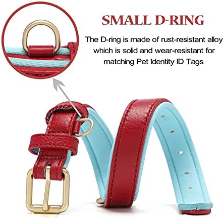 Leather Dog Collar for Small Medium Large Dogs Soft Waterproof Padded Puppy Collars