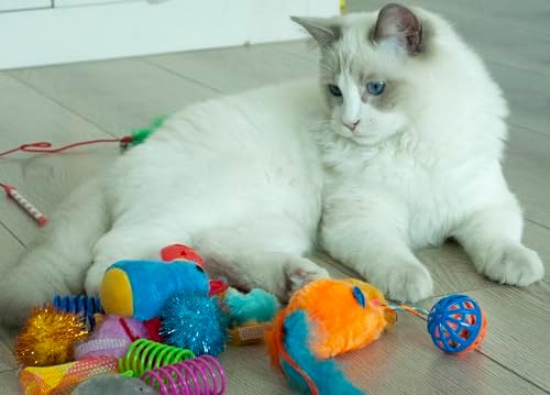 Fashion's Talk Cat Toys, Kitty Variety Pack for Kitten Cats, 20 Count Plush, Teaser & Ball Catnip Mice Cat Spring