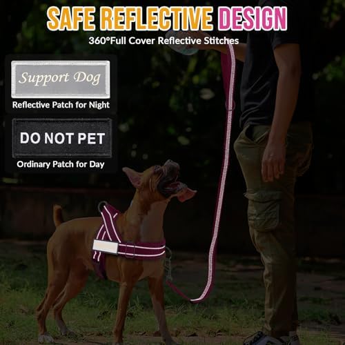Lukovee No Pull Dog Harness and Leash Set, Soft Padded for Large Medium Dog