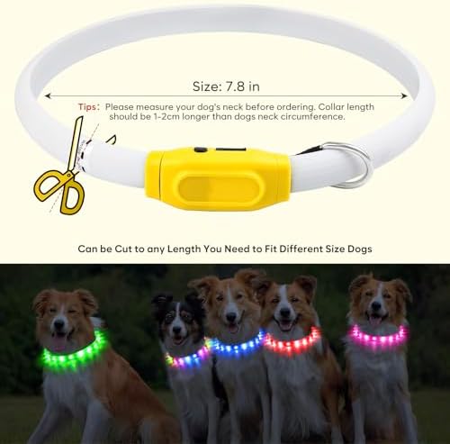 Flashseen LED Dog Collar, USB Rechargeable Glowing Lighted Up Collar, Cuttable Water-Resistant TPU Safety Collar Lights for Small Medium Large Dogs (Style 2)