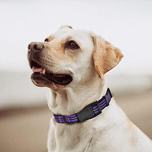 Mile High Life Reflective Dog Collar, Adjustable Lightweight Quick Release