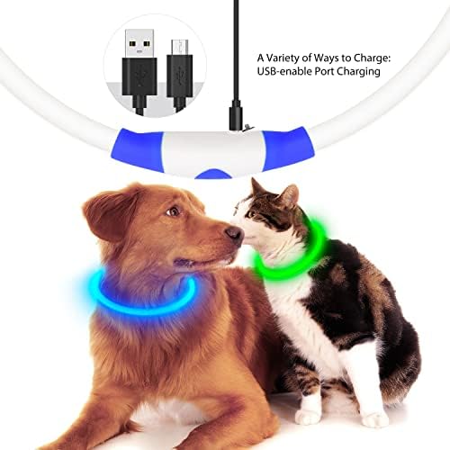 Flashseen LED Dog Collar, USB Rechargeable Glow Lighted up Collar, Blue