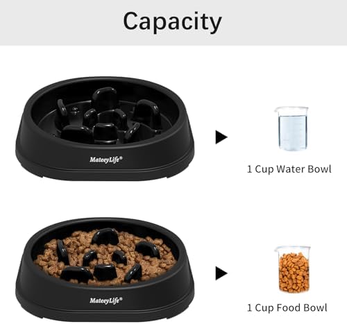 MateeyLife 1-Pack Slow Feeder Dog Bowls, 1 Cup, Dog Puzzle Feeder Bowl