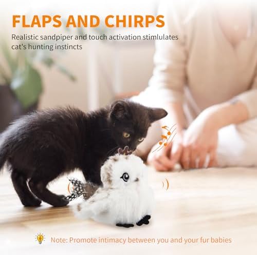 Gigwi Flapping Bird Cat Toys Lifelike Sandpiper Chirp Tweet Interactive Cat Toy, Rechargeable Motion Activated Cat Toys For Bored Indoor Adult Cats, Electronic Automatic Cat Toy With Catnip (prince)