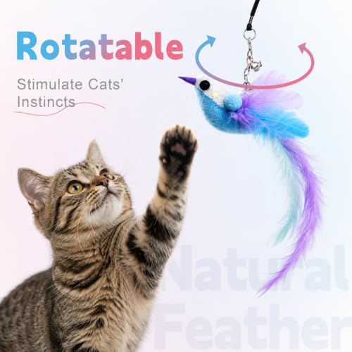 Cat Toys for Indoor Cats, Interactive Feather Wand Toy Set