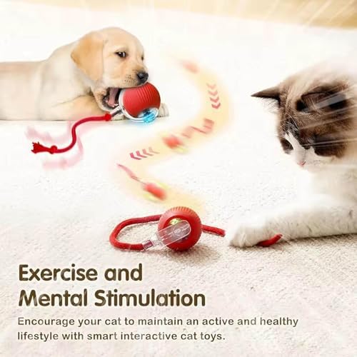 2PCS Interactive Cat Toy Rolling Ball Chewie Viral Dog Ball