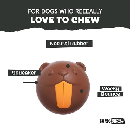BarkBox Ricochet The Nutria Dog Toy
