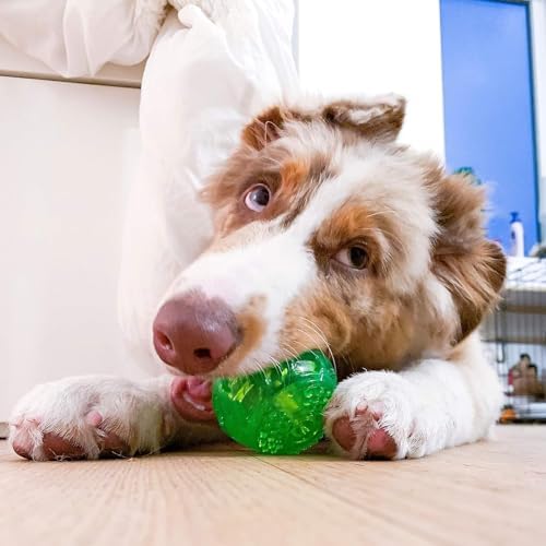 Hyper Pet DuraSqueak Dog Ball Toys (Interactive Toy that Float & Squeak) Squeaky Toys & Dog Balls for Playing, Fetching & Retrieving-Great Alternative to Traditional Tennis Balls-3.5"