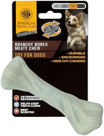 American Kennel Club Training Dog Chew Toy, Large PP Bone Dog Toy, Durable Dog Toy for Moderate Chewers, Beef Scented for Long-Lasting Engagement, Supports Dental Health, Green