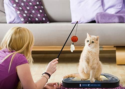 Pets First Memphis Grizzlies Basketball Cat Scratcher Toy