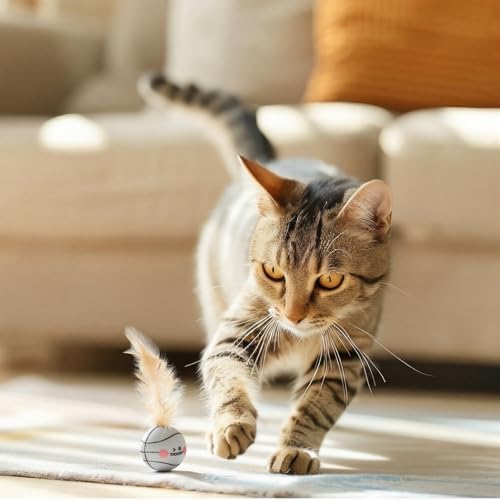 Teyva 32 Pcs Cat Bouncy Ball Toys with Natural Feathers, Interactive