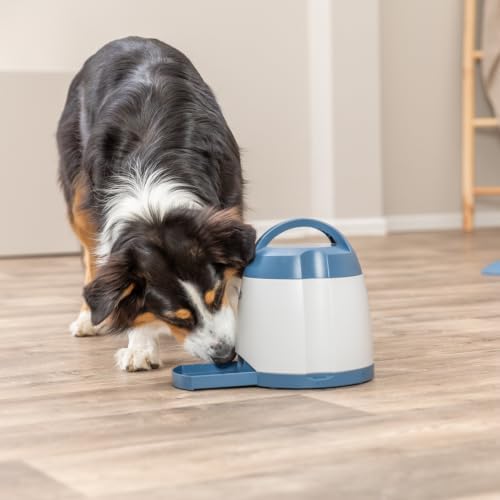 TRIXIE Memory Trainer 3.0 Dog Enrichment Toy, Advanced Level 3 Dog Puzzle, Interactive Treat Game