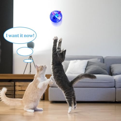 Frienda 4 Pcs Light up Cat Ball LED Motion Ghost Hunting Cat Ball(Clear)