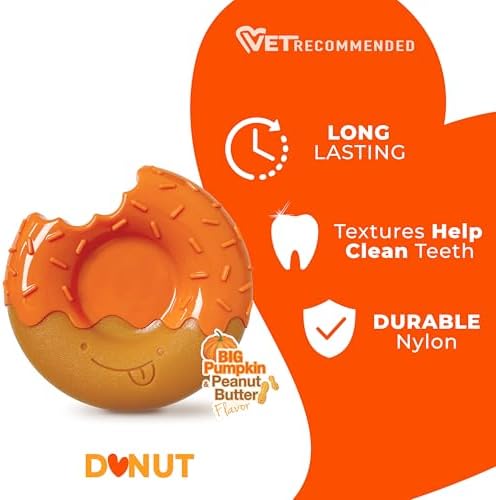 Nylabone Power Chew Novelty Donut Durable Dog Chew Toy, Large