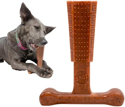 SPOT Bam-Bones Plus T Bone – Bamboo Fiber & Nylon Dog Chew Toy for Moderate to Aggressive Chewers, Durable Long Lasting & Non-Splintering, Beef Flavor Toy for Adult Dogs & Puppies Under 60 lbs, 6 in