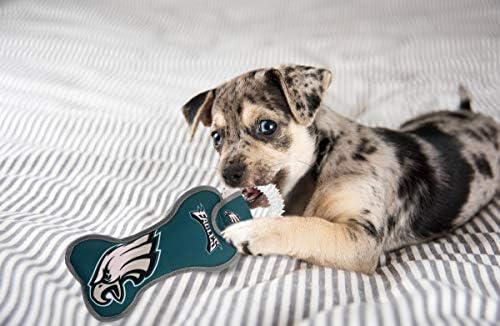 Pets First NFL Philadelphia Eagles Dental Dog TUG Toy with Squeaker. Tough PET Toy for Healthy Fun, Teething & Cleaning Pet's Teeth & Gum., Team Color, one Size (PHL-3310)