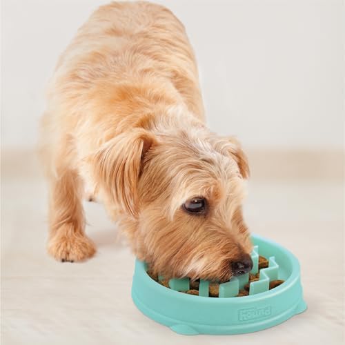 Outward Hound Fun Feeder Slo Bowl – Small 3/4-Cup Capacity, Slow Feeding, Small Dogs, Puppies & Cats, Non-Slip, Mint, Wave Pattern