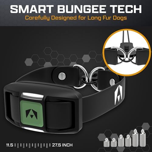 INVIROX Dog Training Collar with Remote, Shock Collar for Dogs 3300ft Range