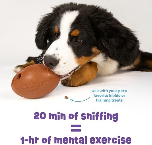 Brightkins Tough & Tumble Football Treat Dispenser - Interactive Dog Toys, Treat Dispensing Dog Toys, Puzzle Ball for Dogs, Brain Training for Dogs, Puppy Slow Feeder, Enrichment Games for Puppies