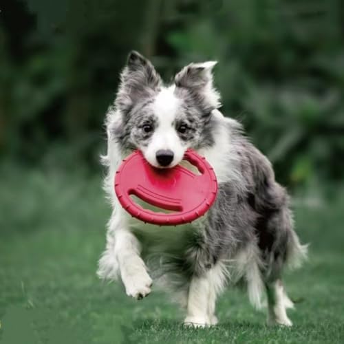 Dog Soft Flying Discs Interactive Training Toy (Magenta)