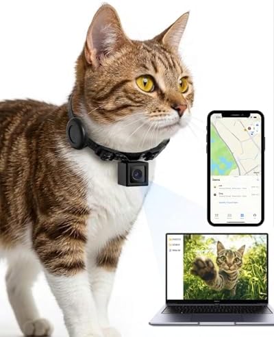 Cat Camera Collar with Tracker Tag, 1080P HD Pet POV Action Cam, No WiFi No App One-Click Video Recorder for Cats & Small Dogs — Lightweight 0.7oz, Night Vision,Laptop Playback