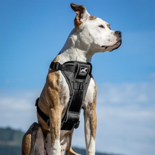 Kurgo Tru-Fit Smart Harness, Black, Medium