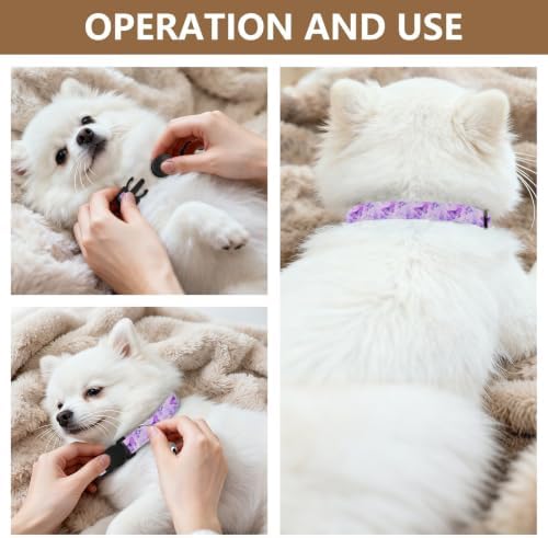Watercolor Purple Butterflies Easy to Clean Small Dog Collar 2 Pack Soft Cat Collar