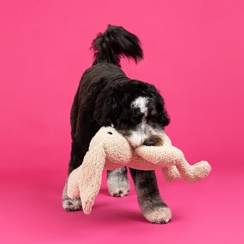 Fringe Studio Large Plush Dog Toy, Hoppy to See You, 19" Tall x 13" Wide, Pet Shop Collection (728034)