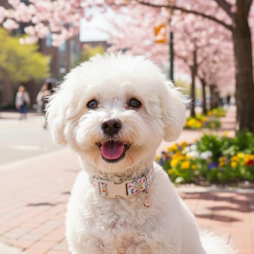 Dog Collar, Floral Girl Dog Collar with Pink Flowers, Cute Spring Summer Pattern for Girls Boys Small Medium Large Dogs, Soft Puppy Collar