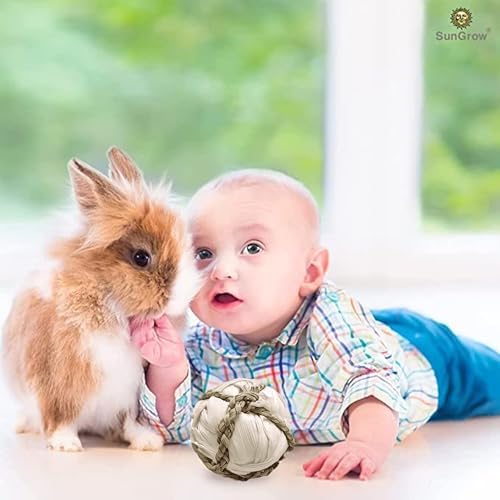 SunGrow Assorted Rabbit & Cat Chew Balls, Teething Activity Toy for Pocket Pets, Improves Dental Health, Environment Friendly, Stress Reliever (Corn Leaf, 6 Pcs)