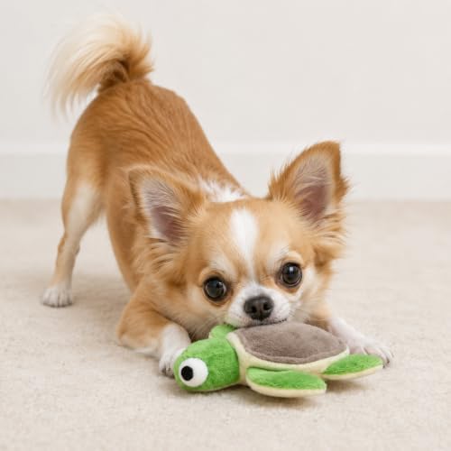 Glory To Dog TinyToy Plush Green Turtle Very Small Dog Toy for Small Breeds