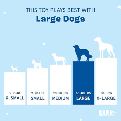 BarkBox Consuela the Cactus 2-in-1 Interactive Plush Dog Toy