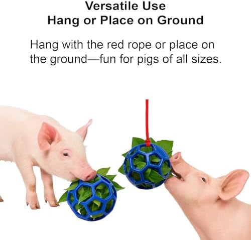 2Pcs Pig Enrichment Toys, Treat Ball Toy for Mini Pigs and Farm, Hanging Chew Ball Enrichment Toy with Rope for Pigs to Play with